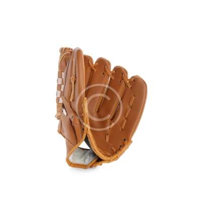 Baseball catchers mitt